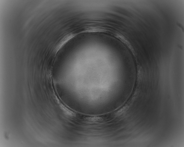 X0000102031425200807181339