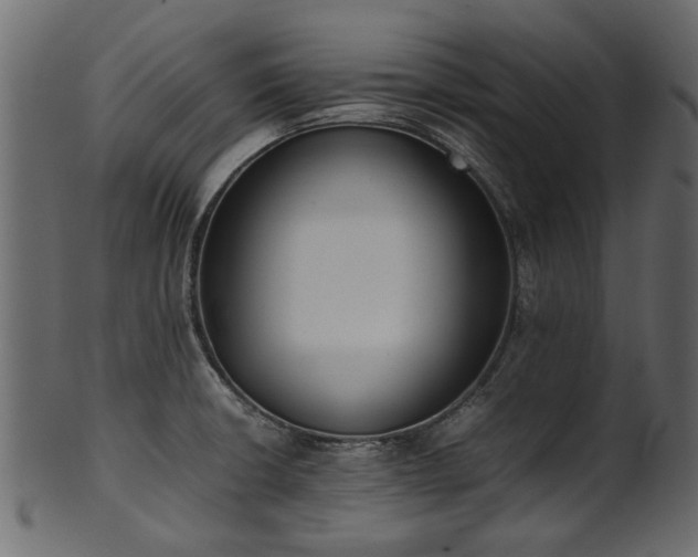 X0000102031426200807181339