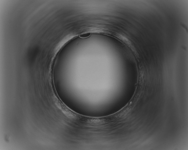 X0000102031427200807181339