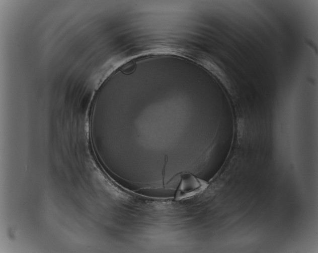 X0000102031428200807181339