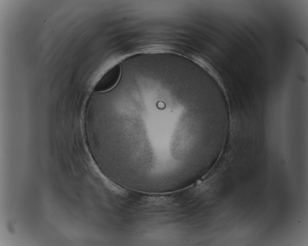 X0000102031429200807181339