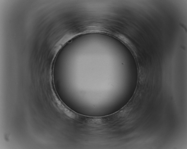 X0000102031431200807181339