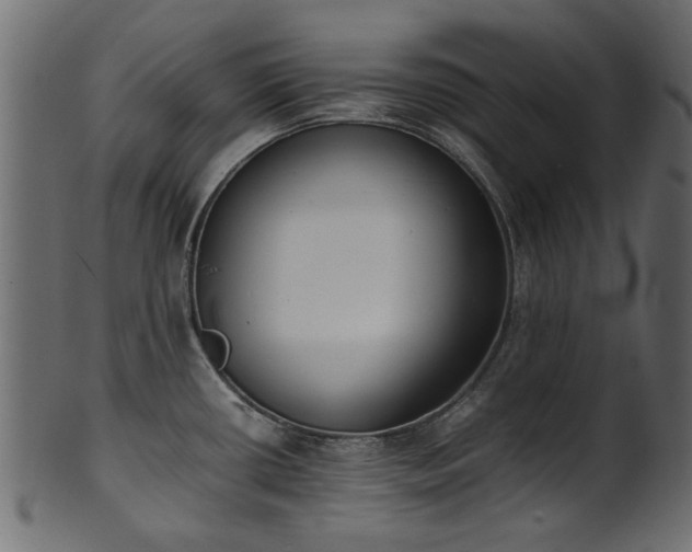 X0000102031434200807181339