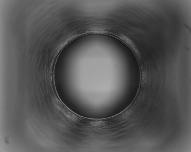 X0000102031435200807181339