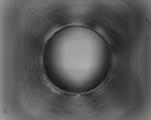 X0000102031436200807181339