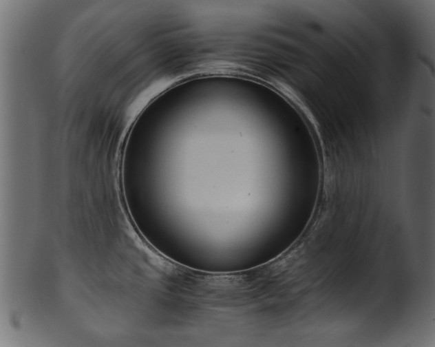 X0000102031437200807181339