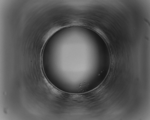 X0000102031439200807181339