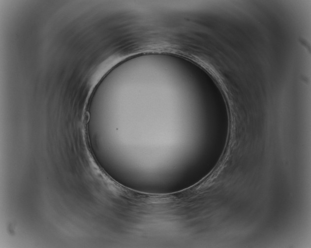 X0000102031440200807181339