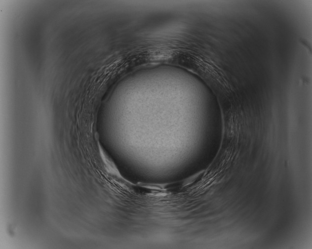 X0000102031441200807181338