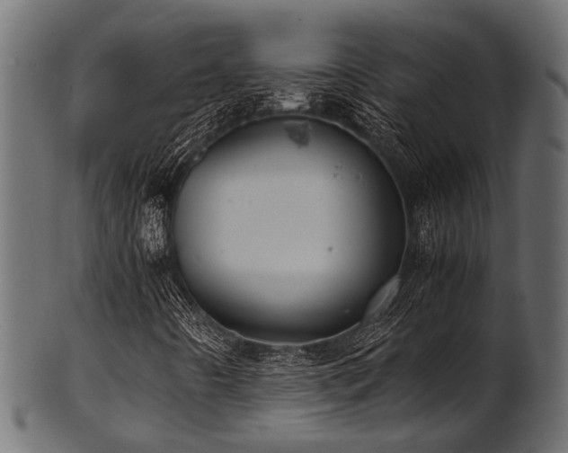 X0000102031442200807181338