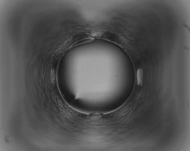 X0000102031443200807181338