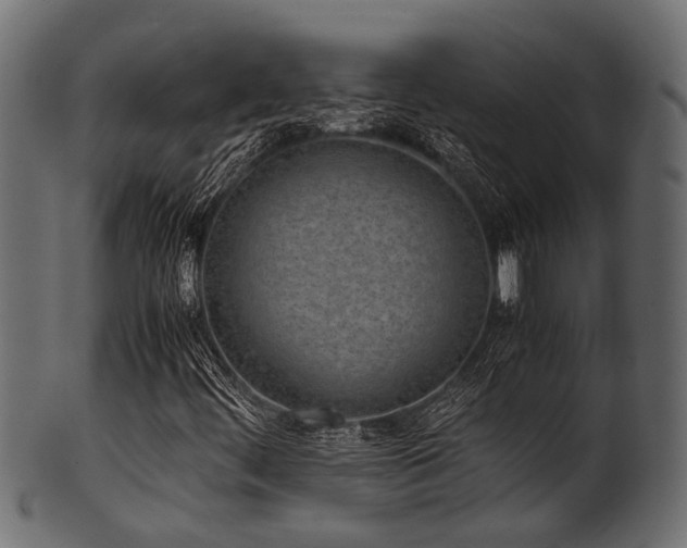 X0000102031444200807181338