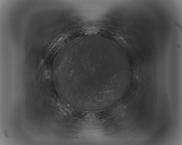 X0000102031445200807181338