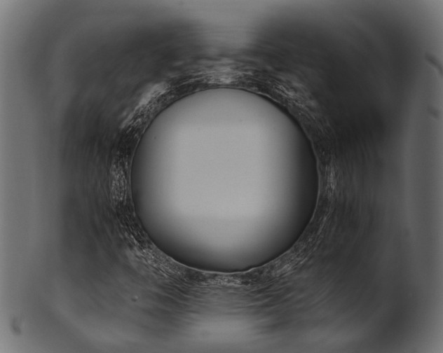 X0000102031446200807181338