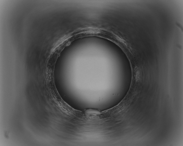 X0000102031448200807181338