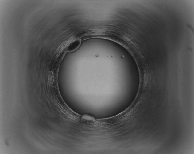 X0000102031449200807181338