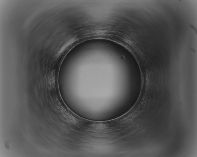 X0000102031450200807181338