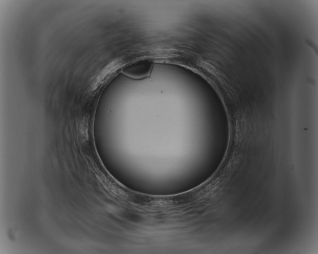 X0000102031451200807181338