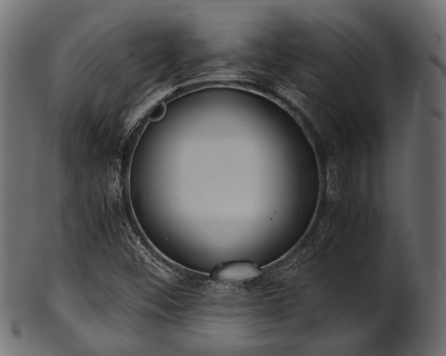 X0000102031452200807181338