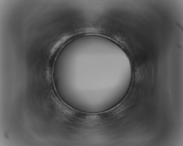 X0000102031454200807181338