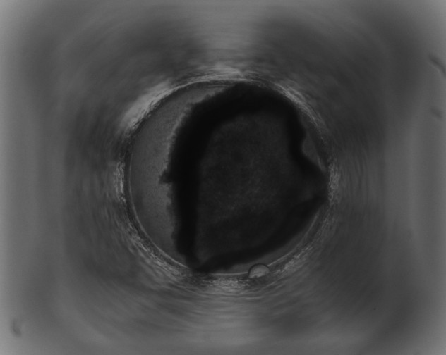 X0000102031455200807181338