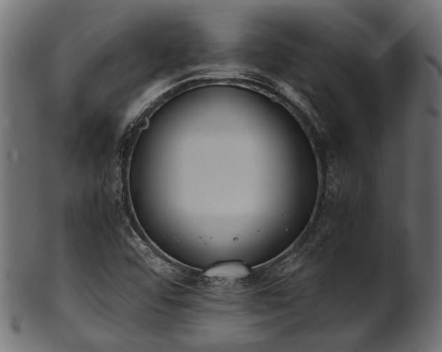 X0000102031456200807181338