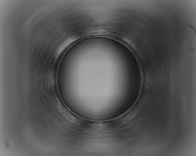 X0000102031458200807181338