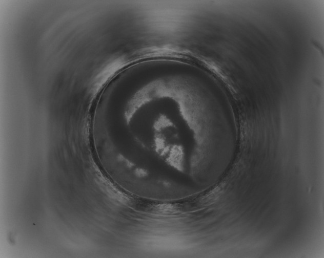 X0000102031463200807181338