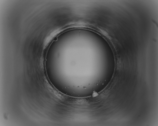 X0000102031464200807181338