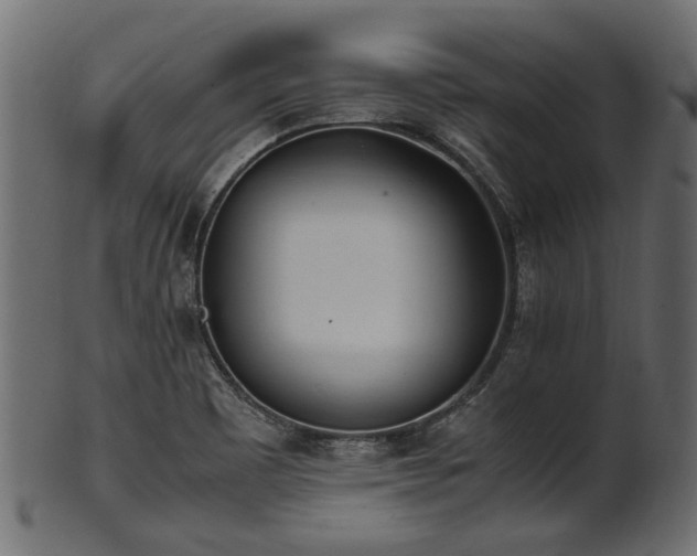 X0000102031465200807181338