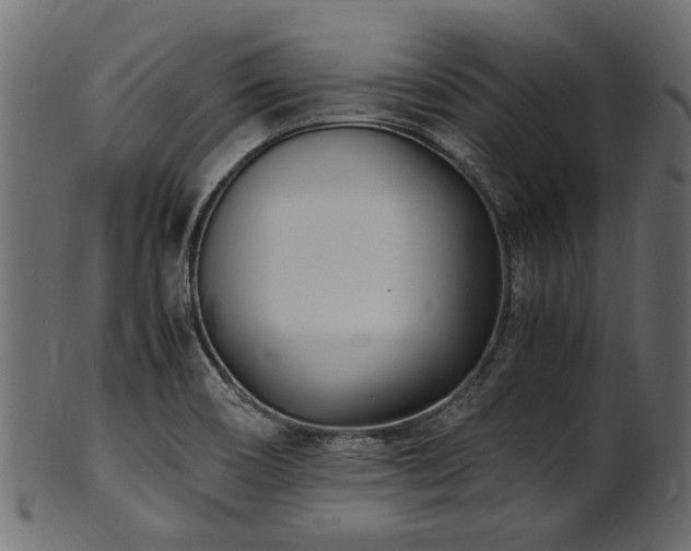 X0000102031466200807181338