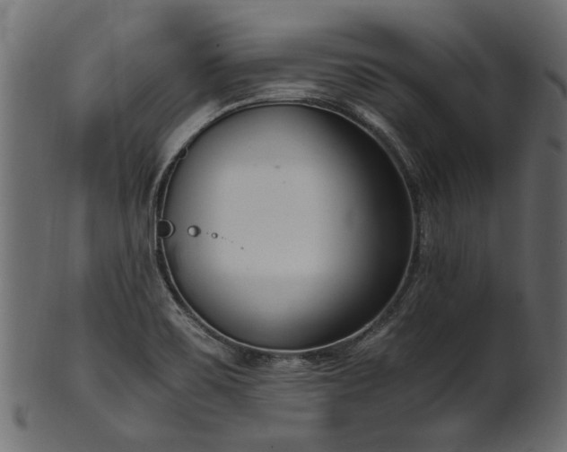 X0000102031467200807181338