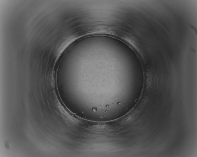 X0000102031468200807181338