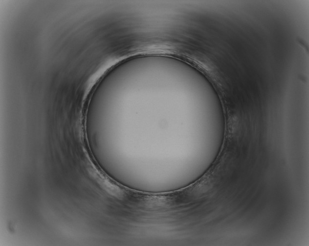 X0000102031470200807181338