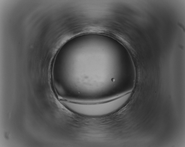 X0000102031471200807181338