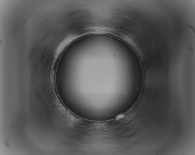 X0000102031472200807181338