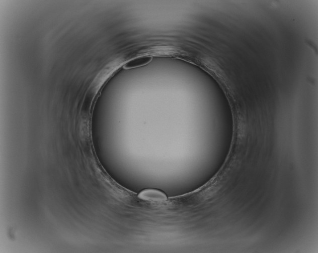 X0000102031473200807181338