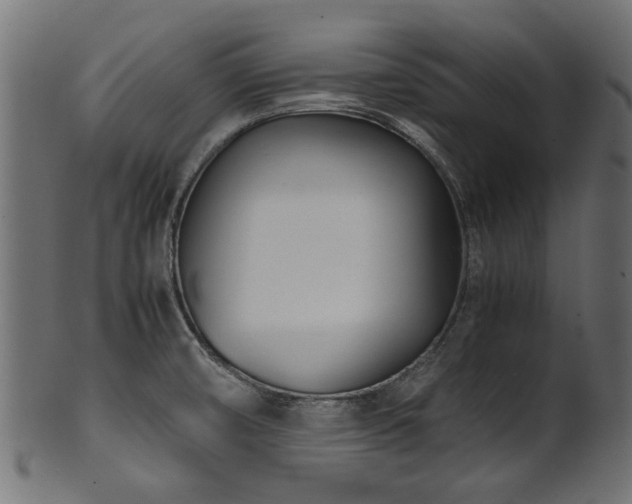 X0000102031474200807181338