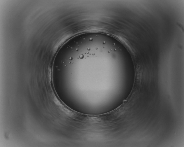 X0000102031476200807181338