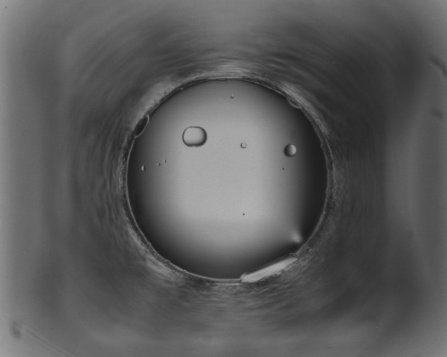 X0000102031477200807181338