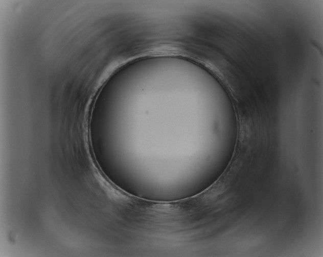 X0000102031478200807181338