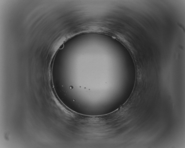 X0000102031479200807181338