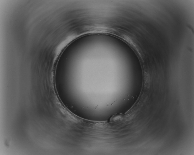 X0000102031480200807181338