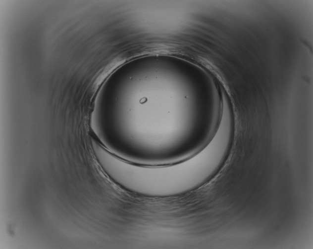 X0000102031481200807181338