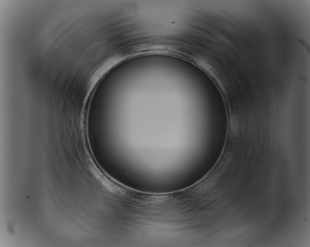 X0000102031482200807181338