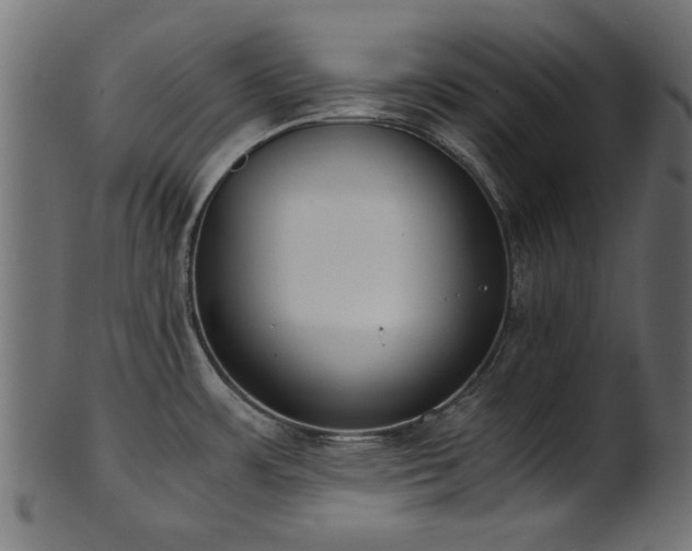 X0000102031483200807181338