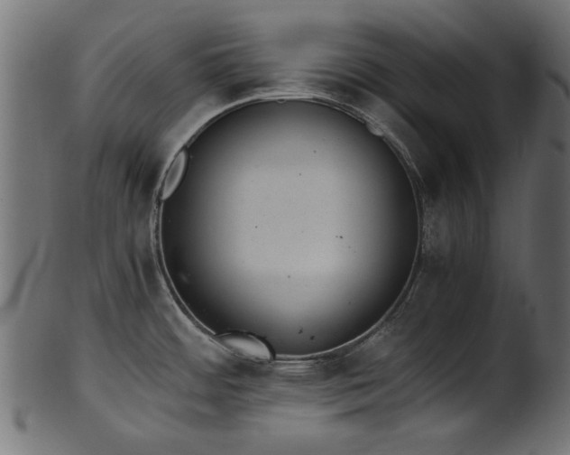 X0000102031484200807181338