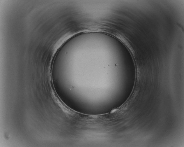 X0000102031485200807181338