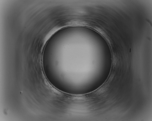 X0000102031486200807181338