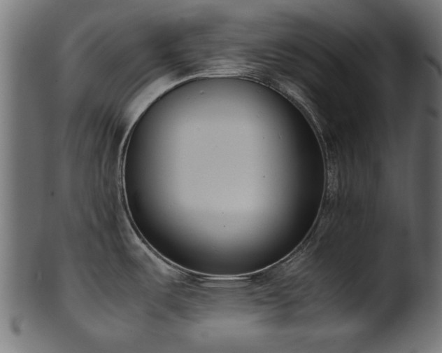 X0000102031487200807181338